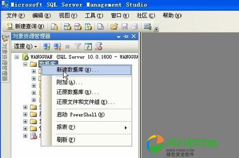 sql server 2008