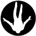 falling中文版 v1.0.1